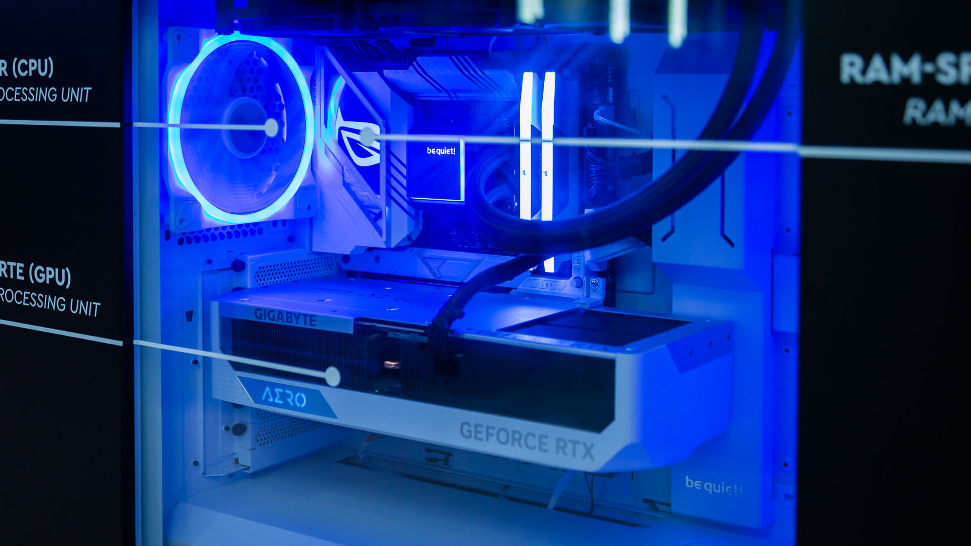 metamotion_1920_Q70_-05