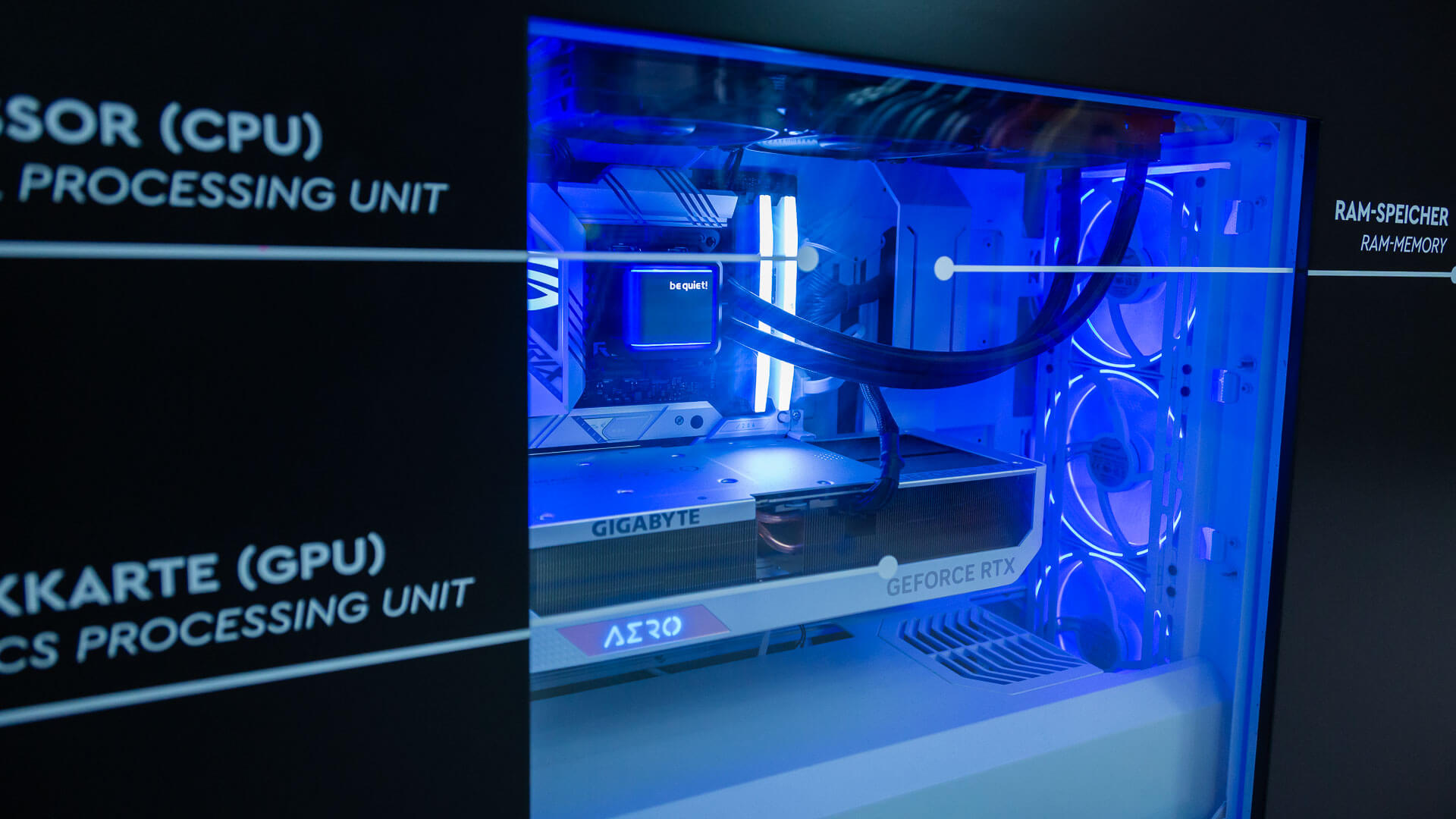 metamotion_1920_Q70_-06