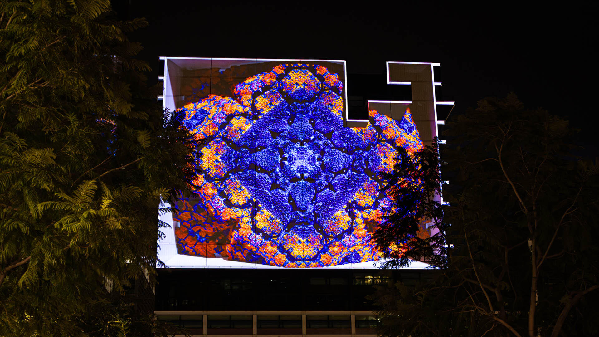 9M6A6469-Enhanced-NR_1